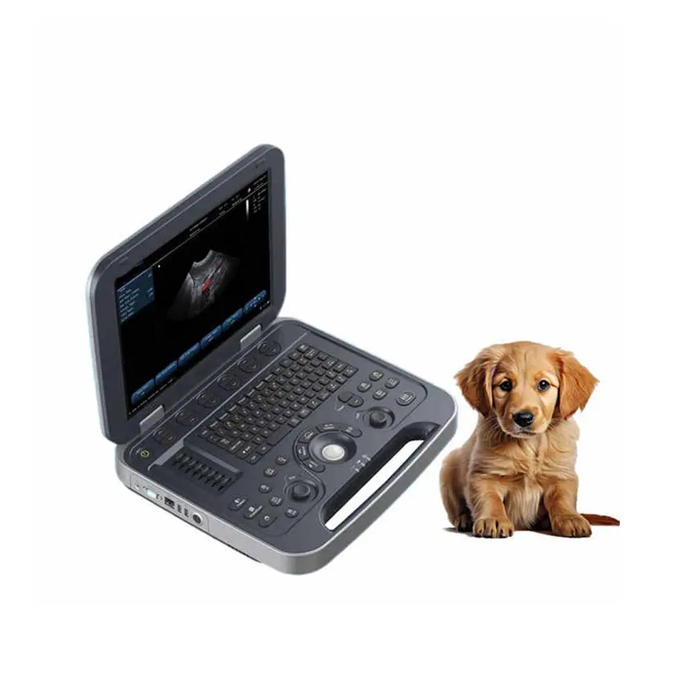 Basso prezzo computer portatile veterinario ecografo VET sistema diagnostico ad ultrasuoni completamente digitale