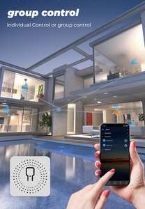 Interruptor inteligente de encendido/apagado para el hogar, minicontrolador Wifi con 2 vías de Control, 10A/16A - Product Image 4