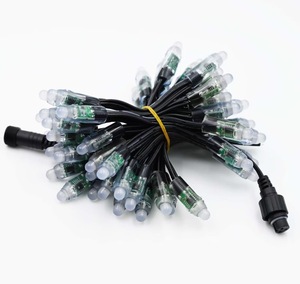 Digital <strong>LED</strong> <strong>Pixel</strong> Light 12mm WS2811 IC Full Color <strong>Pixel</strong> <strong>LED</strong> Module Light DC 12V Input IP68 Waterproof RGB Color From Factory - Product Image 2