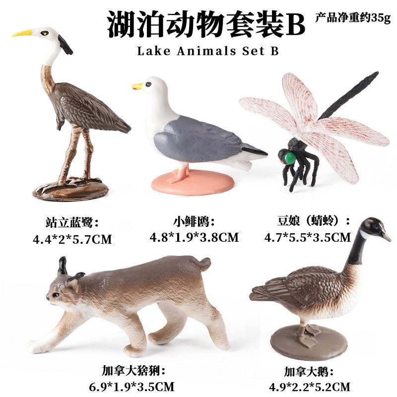 LZ Lago de América del Norte Animales 5 Set B