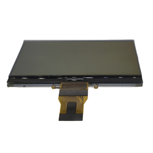 Schermo LCD da 3 pollici FSTN schermo a codice di segmento 256*160 punti matrice schermo transflettivo modulo lcd 3.0 - Product Image 3