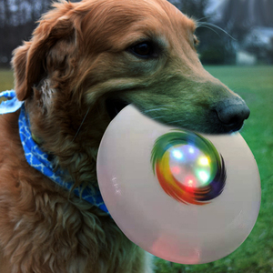 Multi Color Outdoor Glow Light up Frizbee <strong>Pe</strong> 175g Soft Plastic Game Sports Ultimate Led Dog Custom Flying Disc Golf - Product Image 5