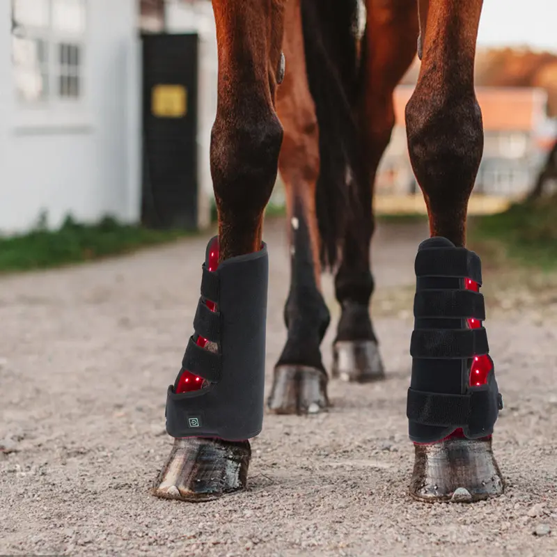 Pulso sem fio cavalo perna luz terapia 660nm 850nm equino terapia terapia luz vermelha para cavalo