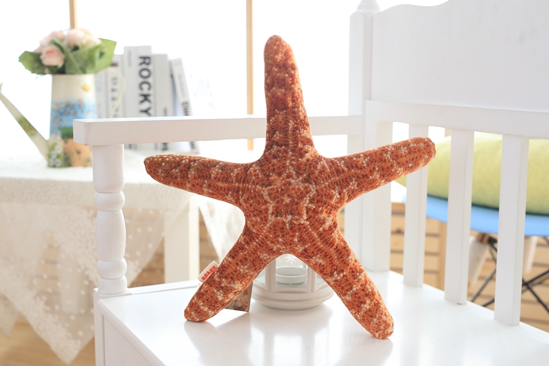 starfish
