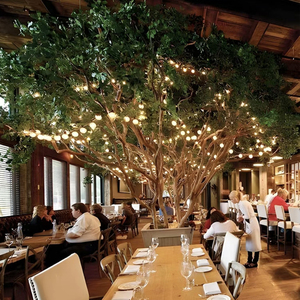 Restoran kullanımı için dekorasyon banyan ağacı büyük tropikal ağaç - Product Image 6