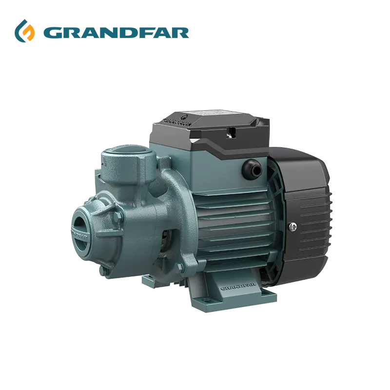 GRANDFAR Body Vortex Turbine Pump Peripheral Pump Surface Water Pump for Agricultural QB Series Hot Sale Cast Iron Electric 220V