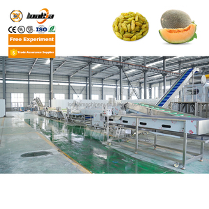 LONKIA industriale frutta verdura fresca macchina per la pulizia di essiccazione e lavorazione a secco datteri lavatrice per la vendita