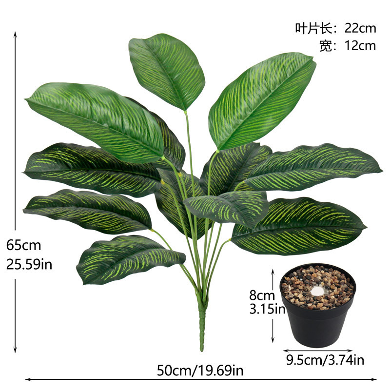 12 cabezas de hoja de plátano 03 + maceta negra