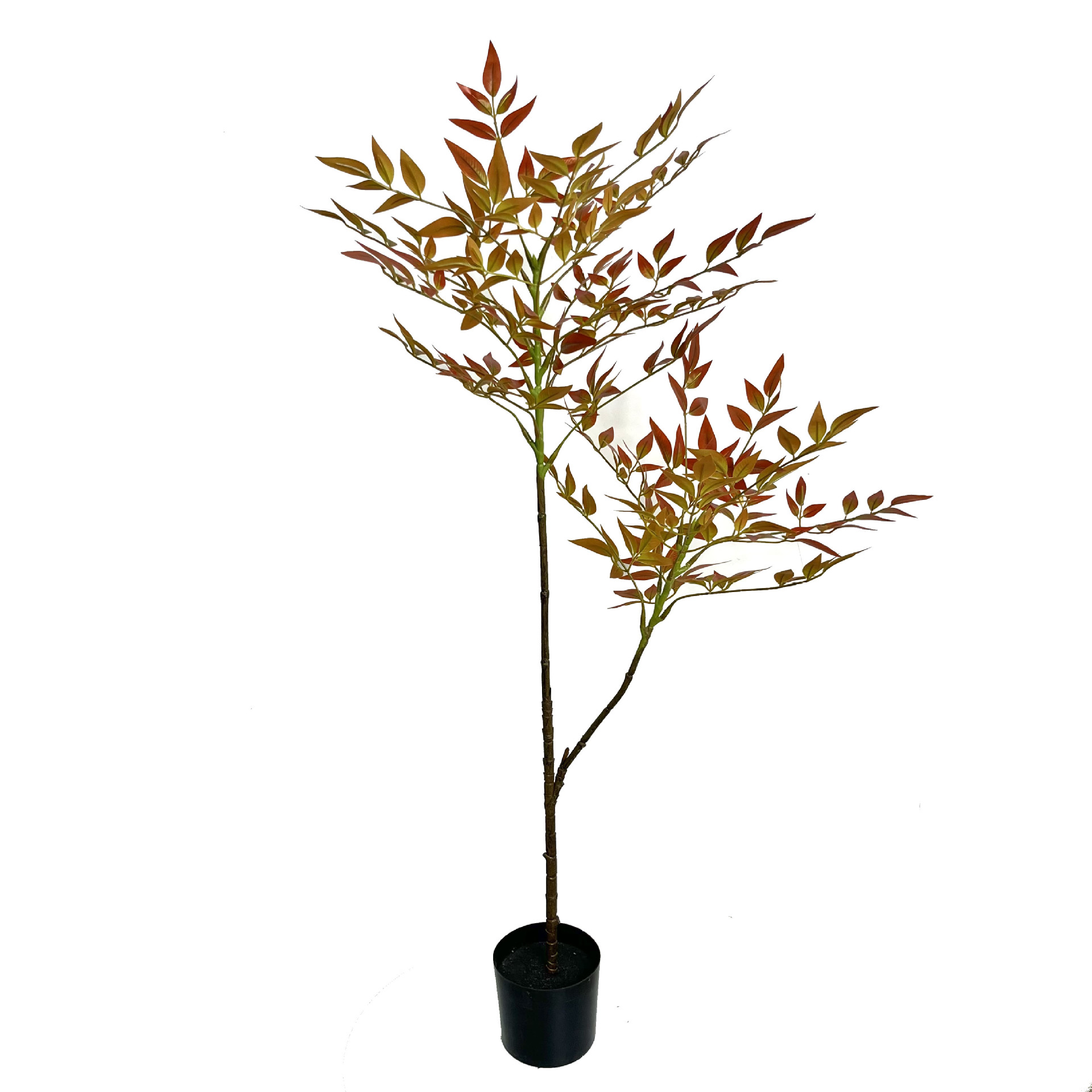 Nuevo nantianzhu rojo-110cm