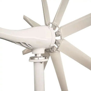 3kW 5 bıçakları 12V 24V 48V ücretsiz enerji fırıldak rüzgar enerjisi küçük rüzgar rüzgar türbini jeneratör - Product Image 4