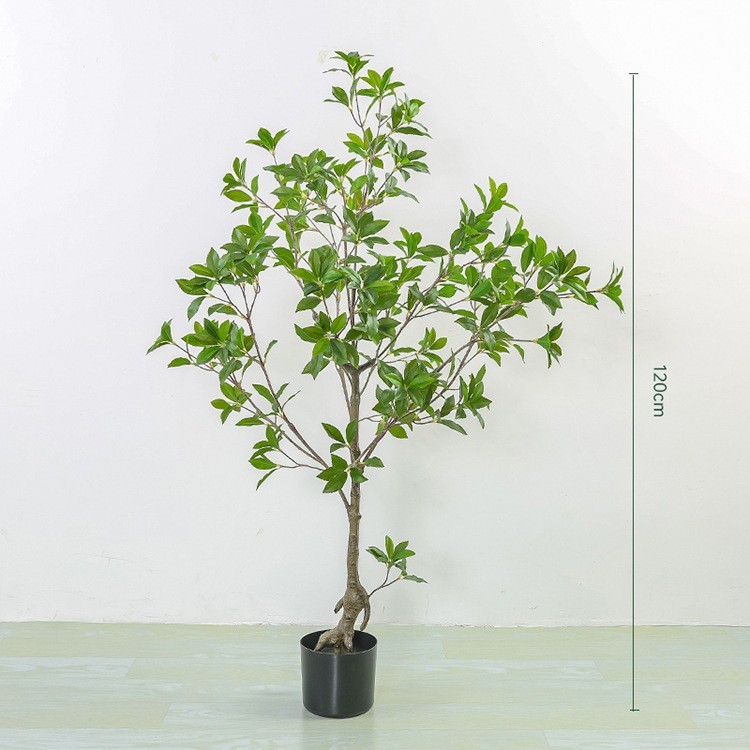 120cm