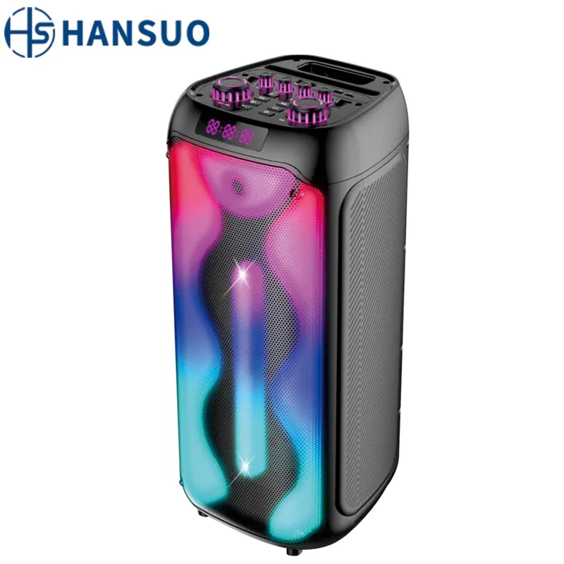 HANSUO Dual 8 pollici party dj karaoke maniglia altoparlante professionale portatile stereo party speaker box Audio HS-TD08K2