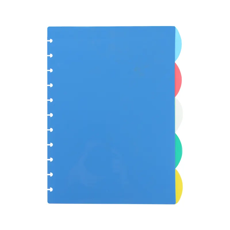 Custom Frosted Pp Disc Binden Notebook Divider Plastic Index Divider Tab Stickers Voor Herbruikbare Bindmiddel Verdelers