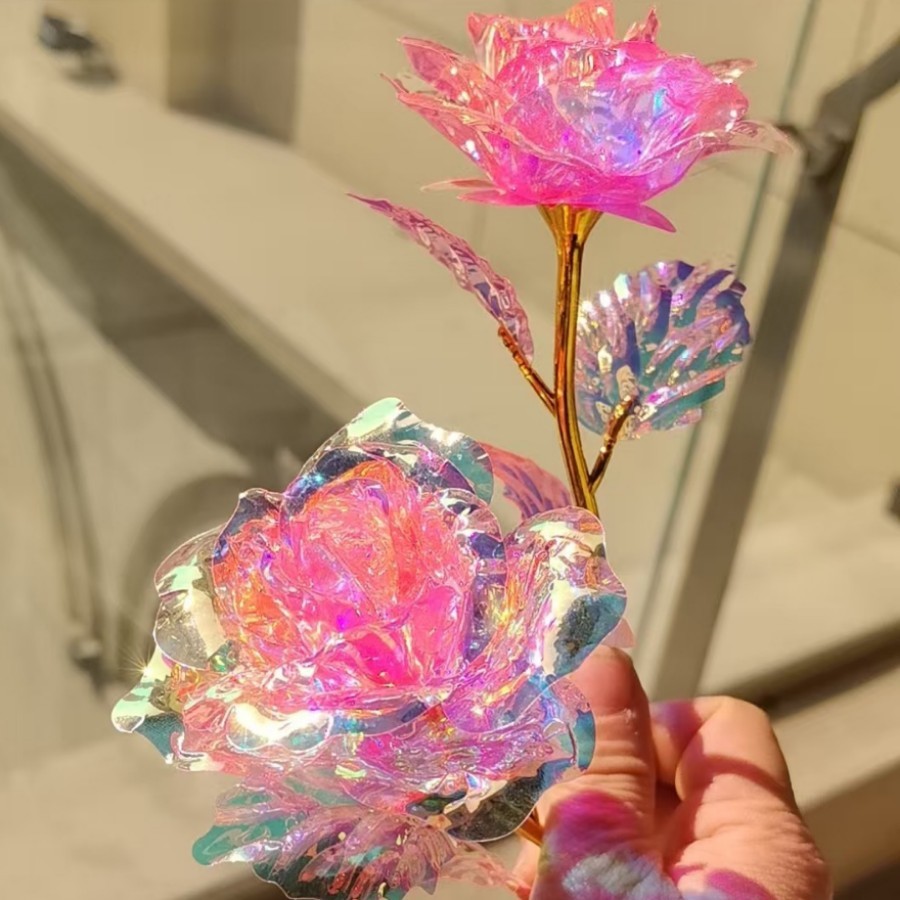 Rose coloré
