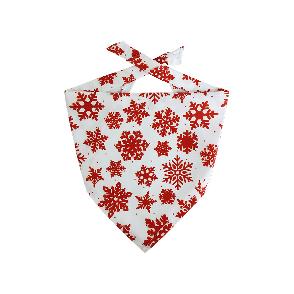 Flocon de neige blanc
