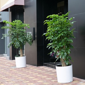 Enfeites de jardim, vasos para decoração, indicador de nível, caixa de plantas de rega automática, vasos plásticos para plantas