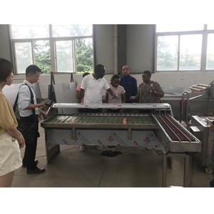 Hochleistungs-Eier gewichts sortiermaschine Eier sortiermaschine 15000 Eier pro Stunde Kapazität