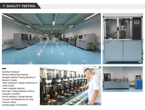 Vanne régulateur de réduction de pression de l'eau, en laiton, à basse pression réglable, sans plomb, 1 pouce, BH DN25 - Product Image 5