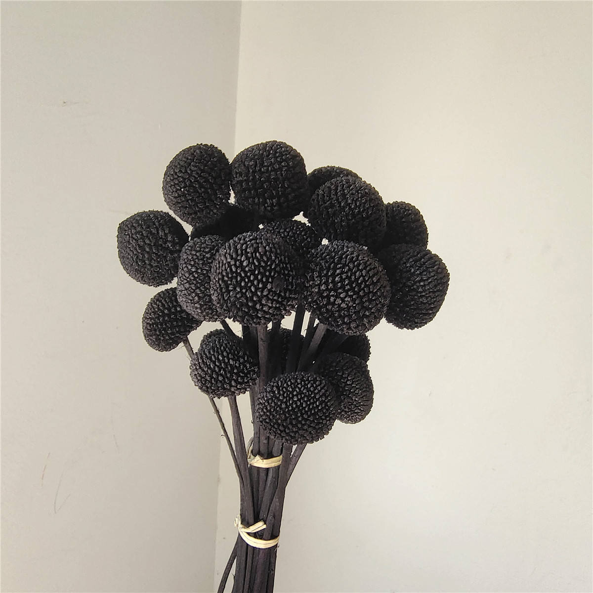 Les mains noires pourraient être teints quand vous le touchez