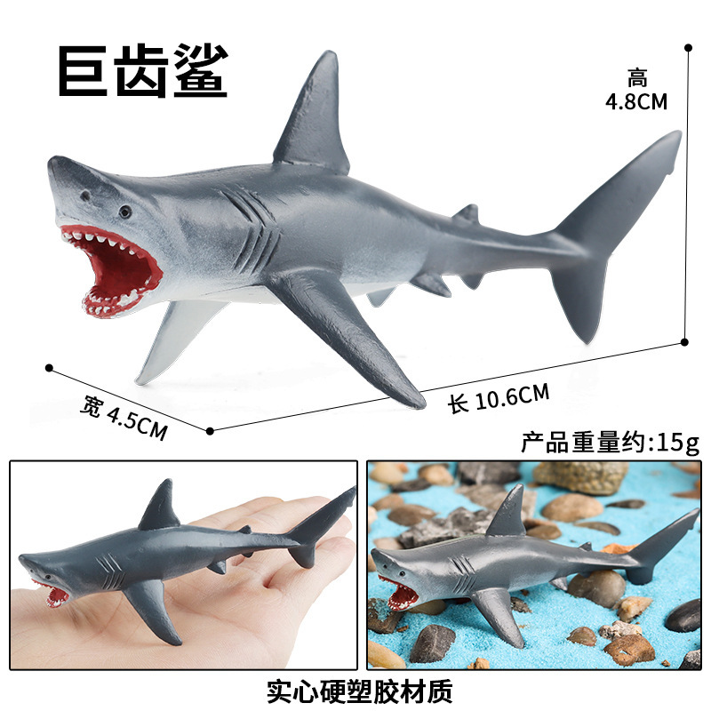 Megalodonte TQ colorato