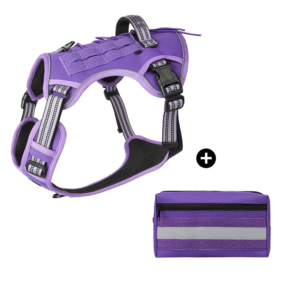 Viola (con borsa)