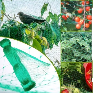Frutteto verde rete Anti-uccello polietilene estrusione plastica rete di protezione per uccelli