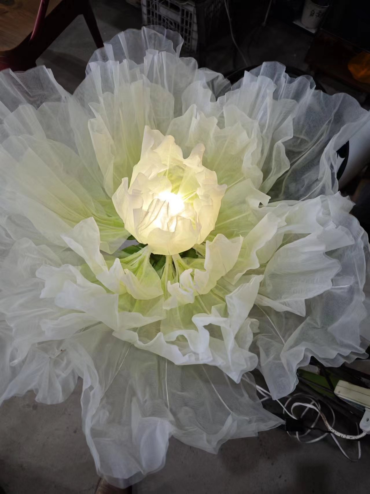 Fleur géante 1