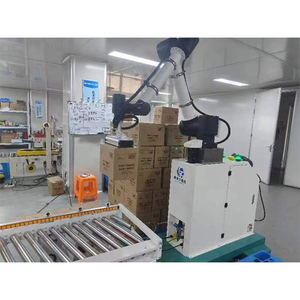 Voll automatisches Roboter-Palettier system Be-und Entladen des Palettier roboters für Container