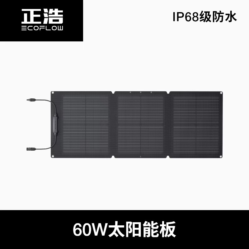 Panneau solaire EcoFlow 60 watts