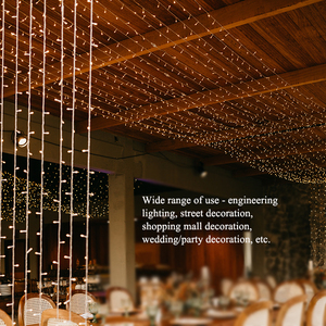<span class=keywords><strong>8</strong></span> funciones <span class=keywords><strong>LED</strong></span> <span class=keywords><strong>STRING</strong></span> LIGHT Interior/Exterior Cobre Navidad Iluminación decorativa IP44 Fuente de alimentación <span class=keywords><strong>LED</strong></span> blanco cálido 10M