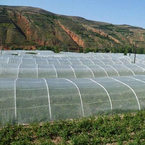 Malla antiinsectos HDPE para protección de verduras, red antiáfidos, 32, 55gsm, fabricación de fábrica - Product Image 2