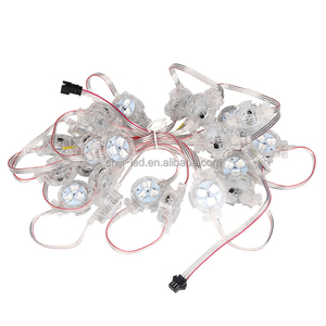 SHIJI Manufacturer WS2818 RGB Permanent Christmas Lights <strong>String</strong> 30mm IP67 Outdoor Waterproof <strong>LED</strong> Pixel Point Light Source - Product Image 6
