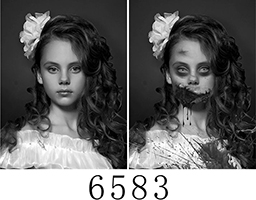 6583