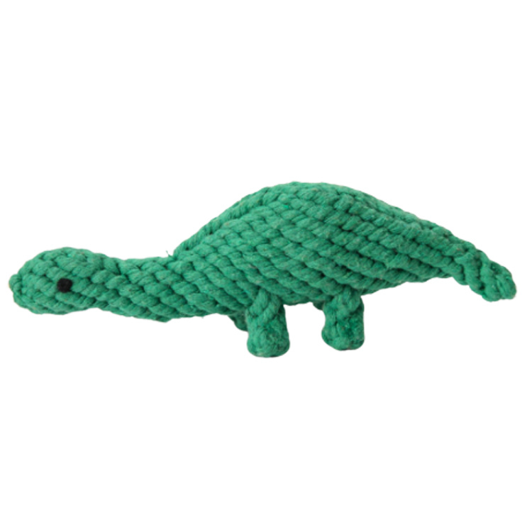 Dinosaur
