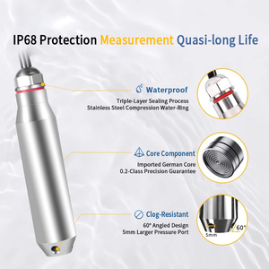 Transmisor sumergible de salida IP68 RS485 0-5m instrumentos de medición de nivel Industrial Sonda de Sensor de indicador de nivel de tanque de agua - Product Image 2