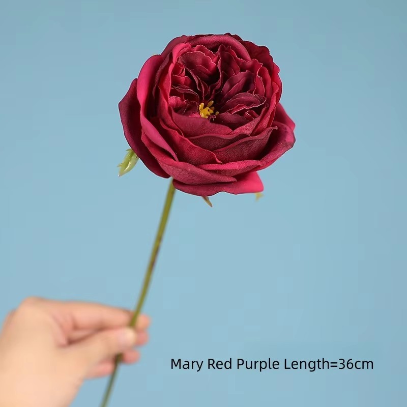 Marie Rouge Violet
