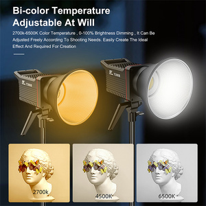 300w trucco continuo 2700-6500k Led Video luce di riempimento per la fotografia di Studio di illuminazione di uscita di alimentazione del telecomando - Product Image 4