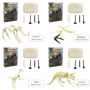 Diy eğitici oyuncak çeşitli kazmak Mini kitleri fosil kazmak dinozor kazmak fosil kazı oyuncak kitleri öğrenme kaynakları eğitici oyuncak s - Product Image 4