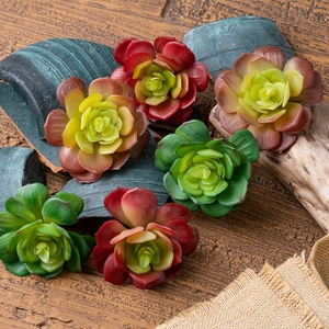 Yapay Etli Bitkiler Doğal Dokunmatik Mini Etli Bitkiler Saussurea Involucrata - Product Image 2