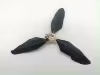 Black feather