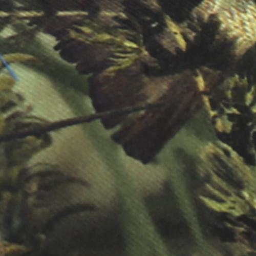 Camo