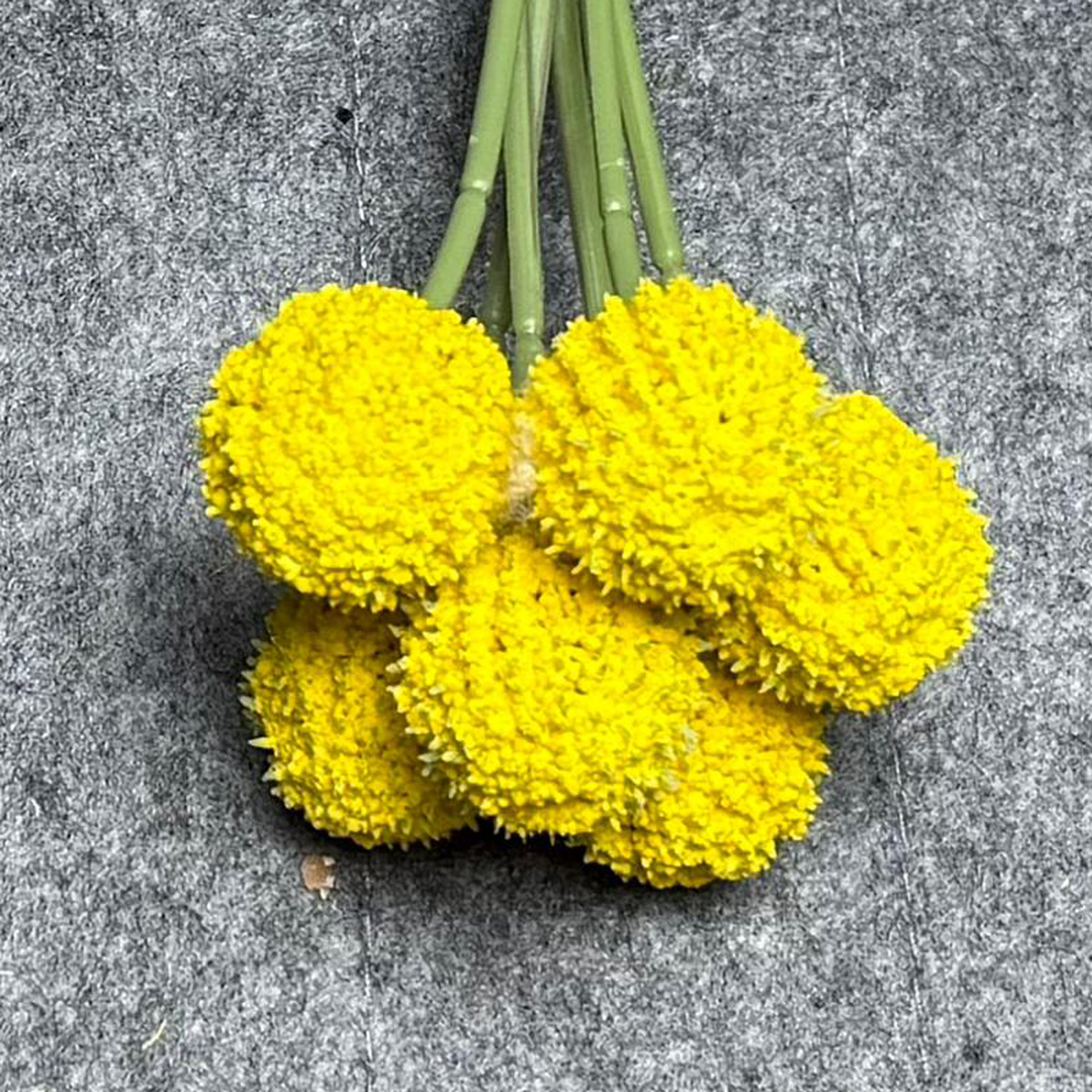 7 Stems 7 heads 62cm Yellow