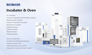 BJPX-H160IV BIOBASE 160L incubatore da laboratorio * coltura di batteri * controllo preciso della temperatura ± 0.5 ℃ - Product Image 3