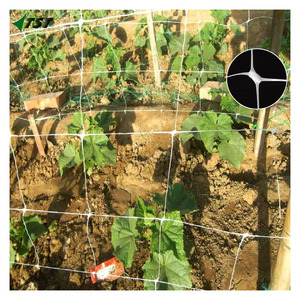 強力なPPネット水平安定化と登山家や野菜を必要とする植物と花の両方に優れたサポート - Product Image 2