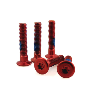 TortxネジM1.6 M2 M2.5 M3 M4 M6 M8 M10ステンレス製カスタムTortx - Product Image 5