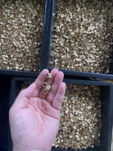 440 M10 M25 Knurled A1 Swivel Tip Alloy Torx M3X10 Thumbscrew Pc Case <strong>Screw</strong> M4 Thumb Thread Knob <strong>M4X10</strong> Thumbscrews <strong>Screw</strong>