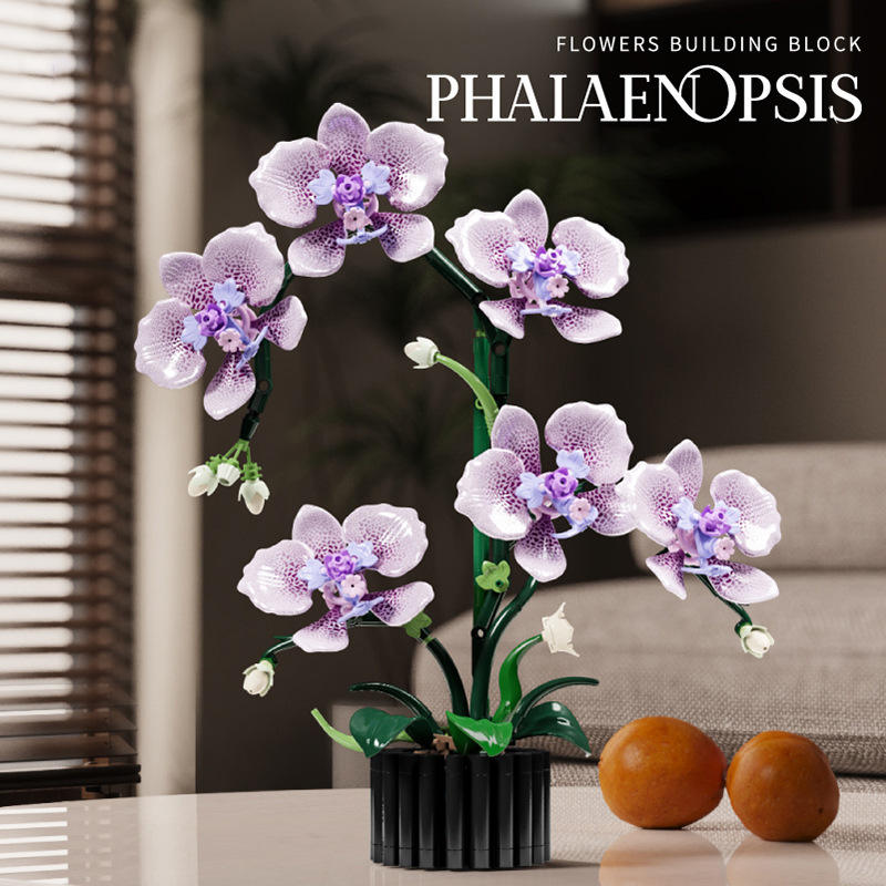 13115 Orquídea Phalaenopsis