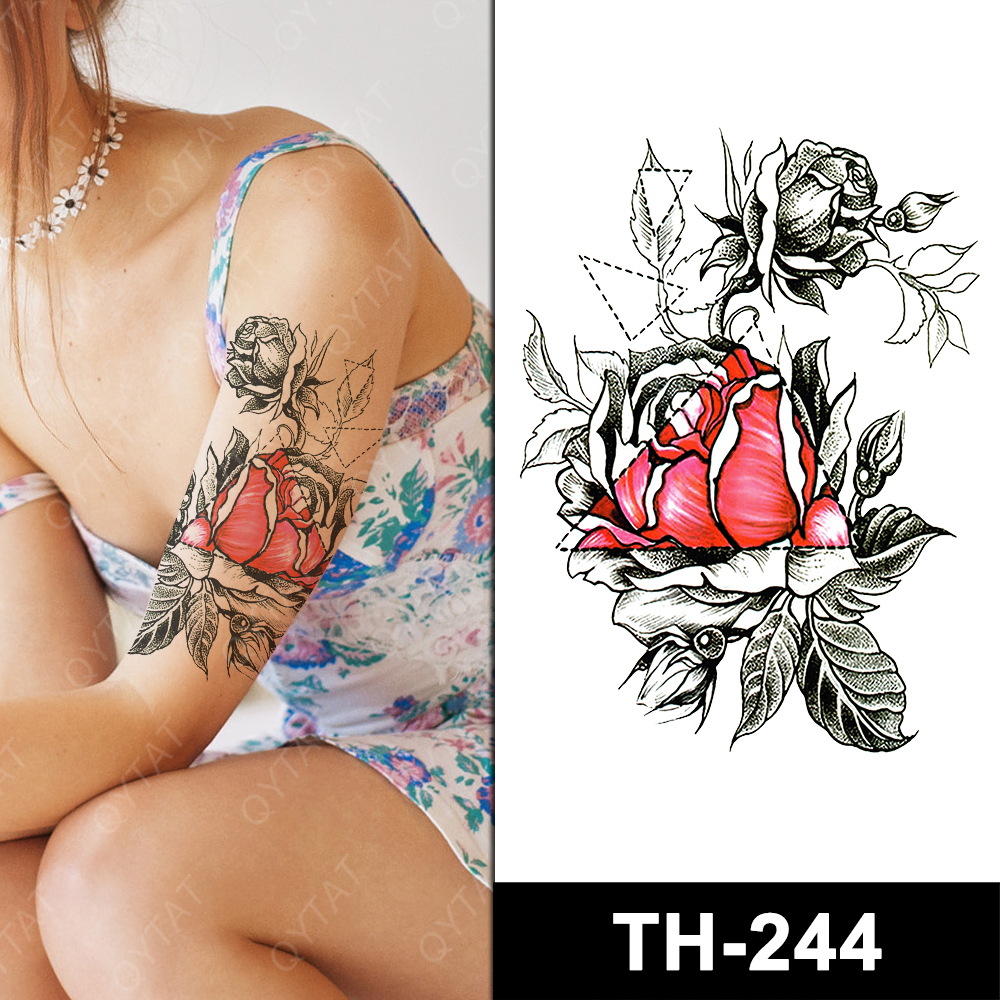 TH-244