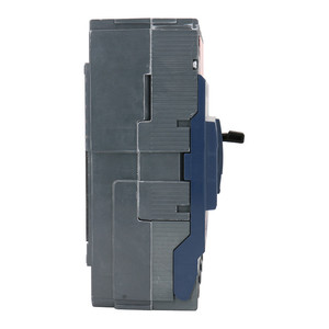 Nuevo estándar 9 RCBO Ea9r 2P C63A EA9RN2C6330CA Disyuntor operado por corriente residual Envío rápido 250V Fácil instalación - Product Image 4