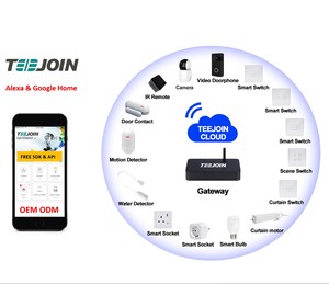 WIFI Smart Home and Building Automation sistemi di controllo integrati sistema di controllo dell'automazione domestica completo funziona con Alexa Google